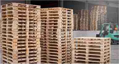 Reusable Pallets Gain Traction as Businesses Look to Reduce Waste