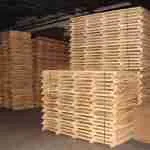 Pallet in Warehouse